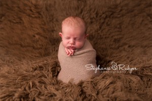 stephanie rubyor photography, seattle newborn photographer
